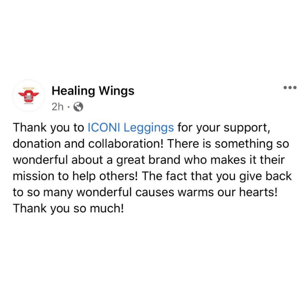 Donation to Healing Wings Foundation